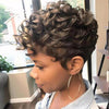 Gorgeous Short Afro Curly Layered African American Wig