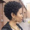 Women Classic Short Curly Afro Hair for African American