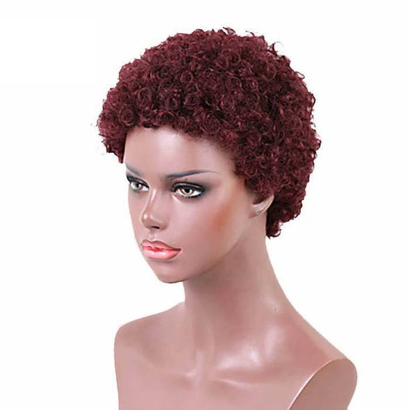 Women Classic Short Curly Afro Hair for African American